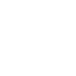 Github logo white