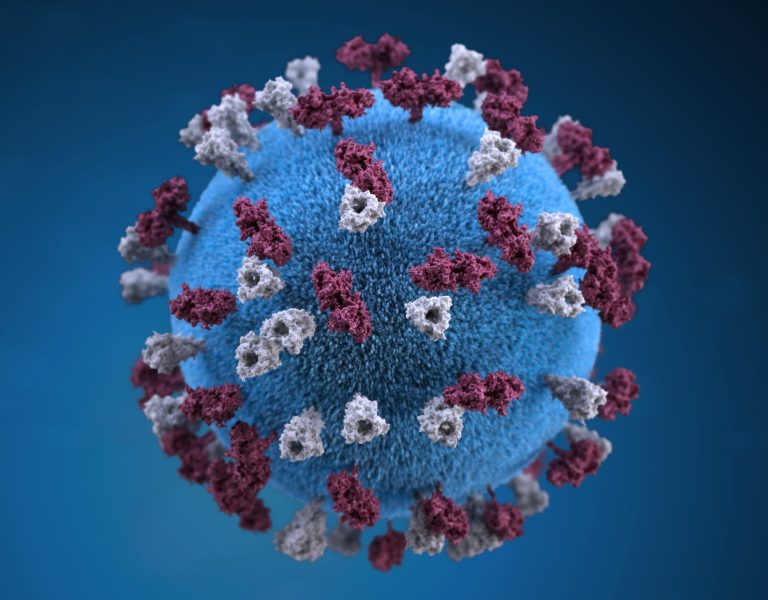 3D graphic representation of a spherical-shaped, measles virus particle